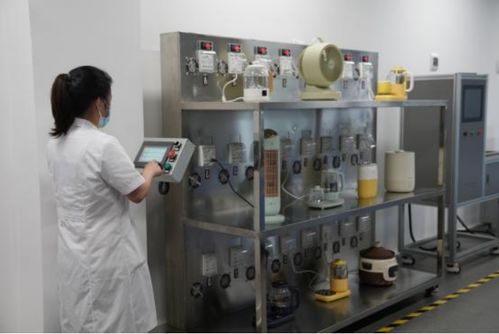 以用戶為中心，小熊電器差異化創新引領品質生活新篇章